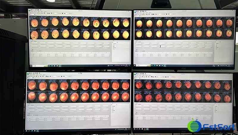 apple optical grading line.jpg apple optical grading line.jpg